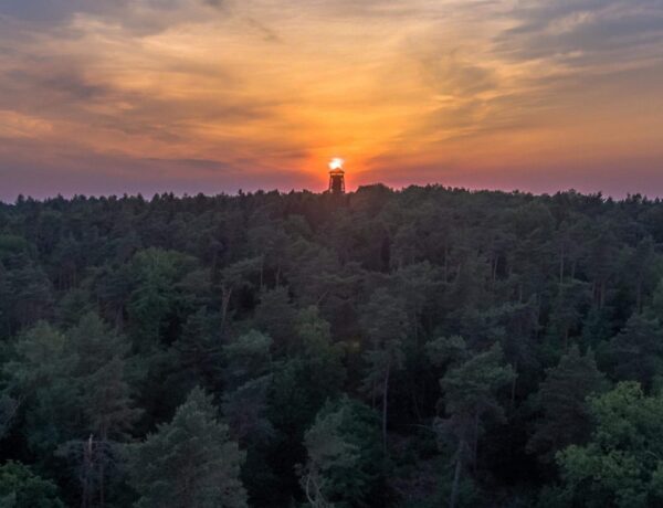 Meerdaags vergaderarrangement in Montferland